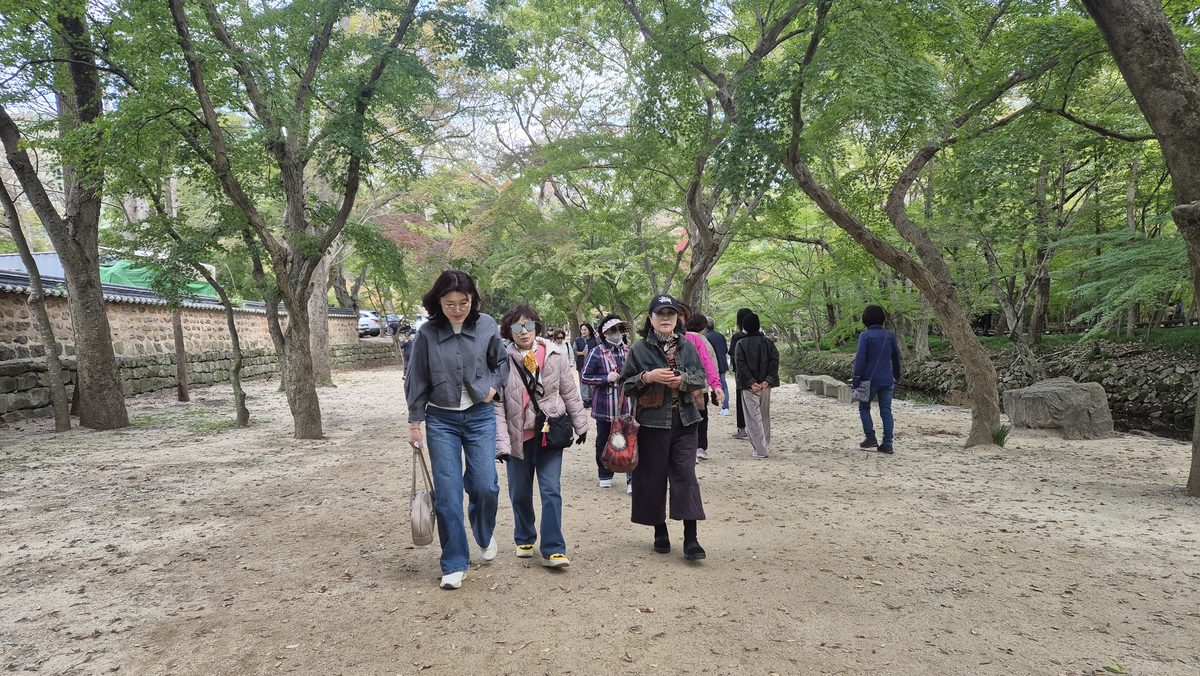 사랑드림노인복지센터 야외 활동 사진